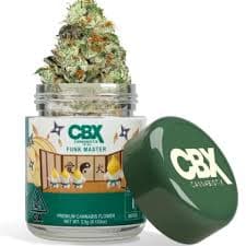 CANNABIOTIX - Funk Master - 3.5g - Flower