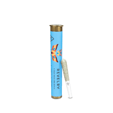 REVELRY - Mango Madness 2pk - 1g - Preroll