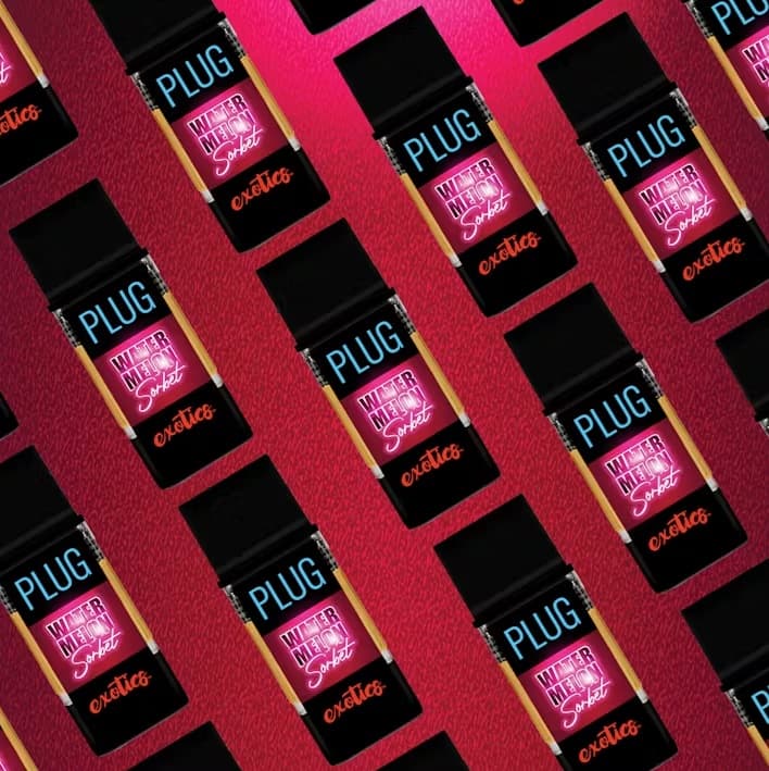PLUG PLAY - Watermelon Sorbet - 1g - Vape