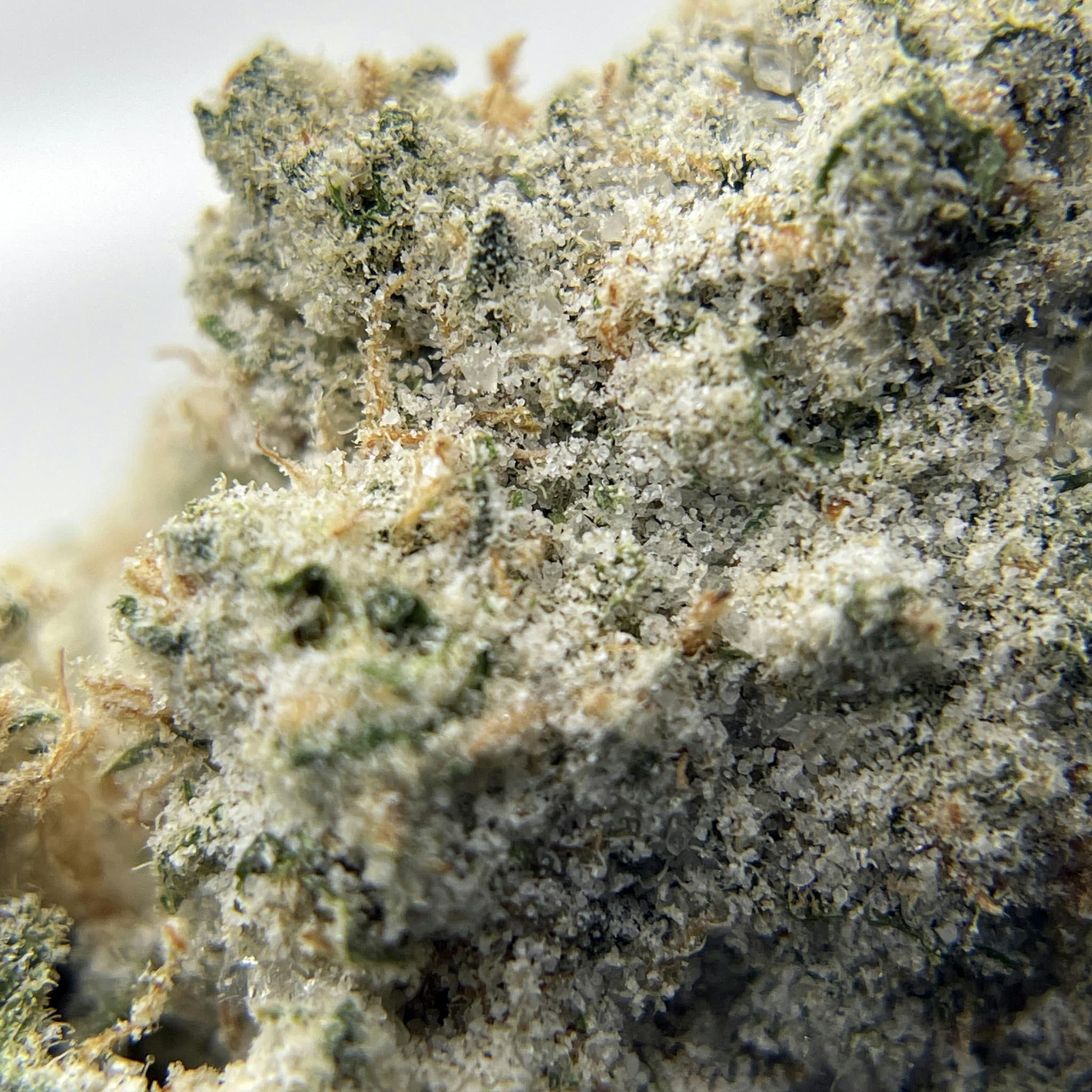 BLACK PEARL - Cereal Milk Diamond Coated - 3.5g - Flower