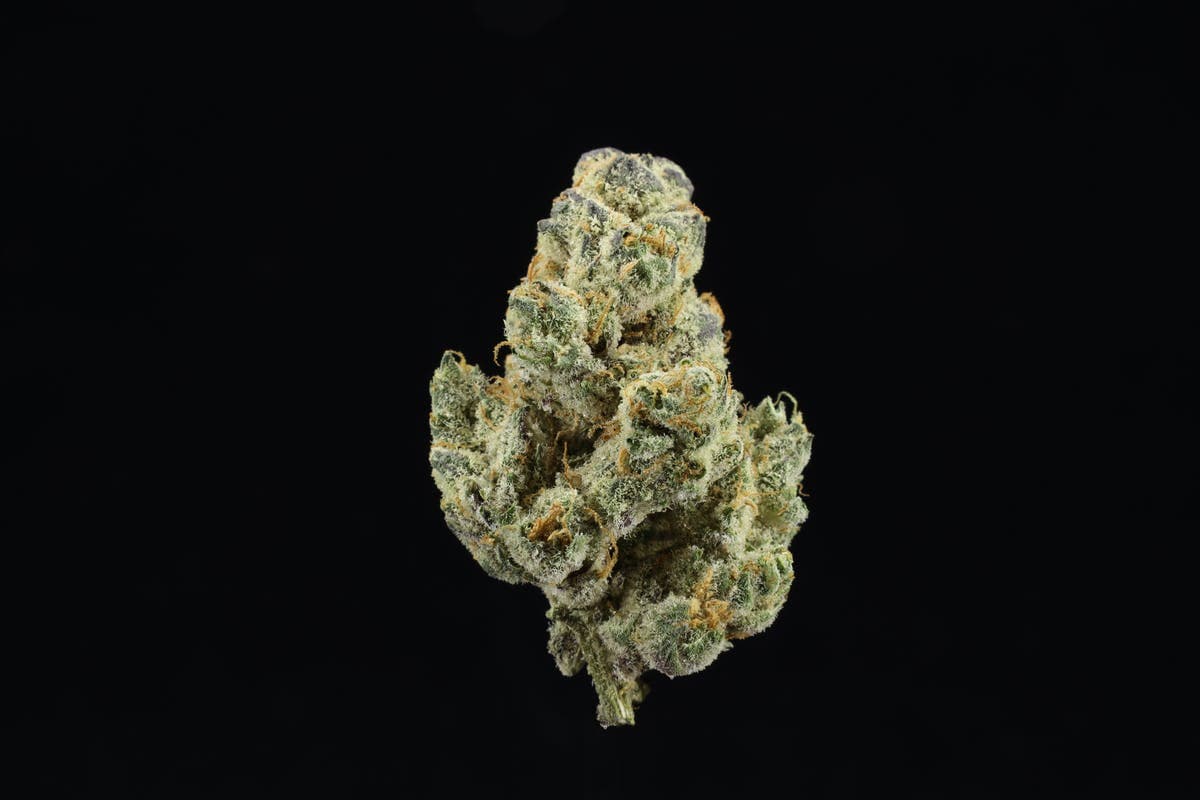UPNORTH - GMO - 3.5g - Flower