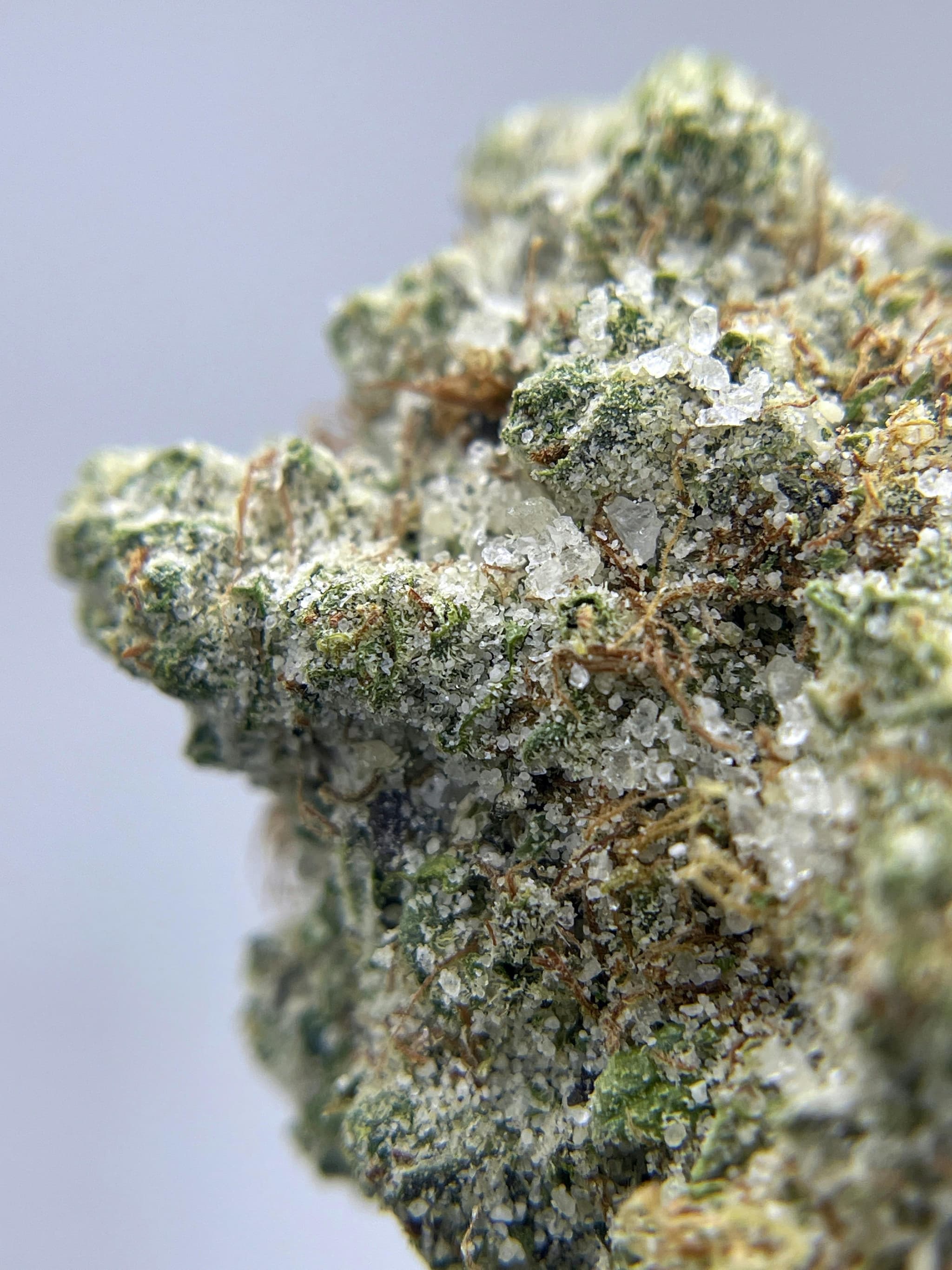 BLACK PEARL - Triangle Kush Diamond Coated - 3.5g - Flower
