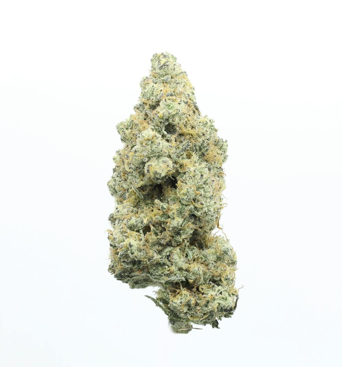 UPNORTH - Platinum Afghani - 1g - Preroll