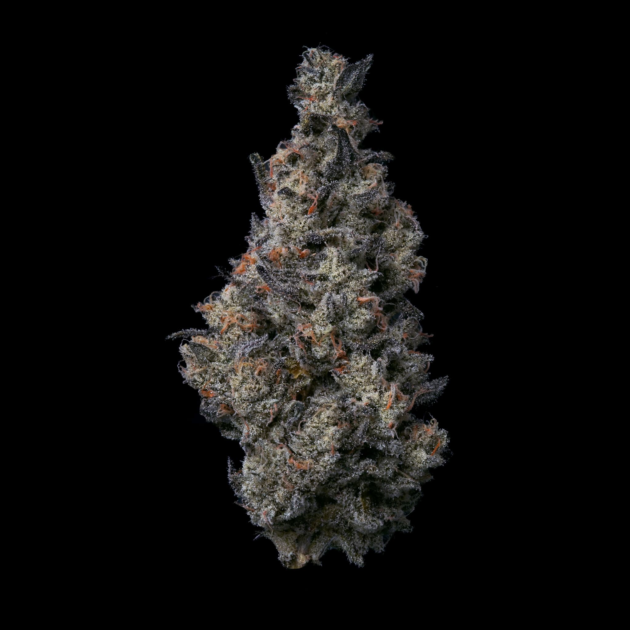 FIG FARMS - Donut Shop - 3.5g - Flower