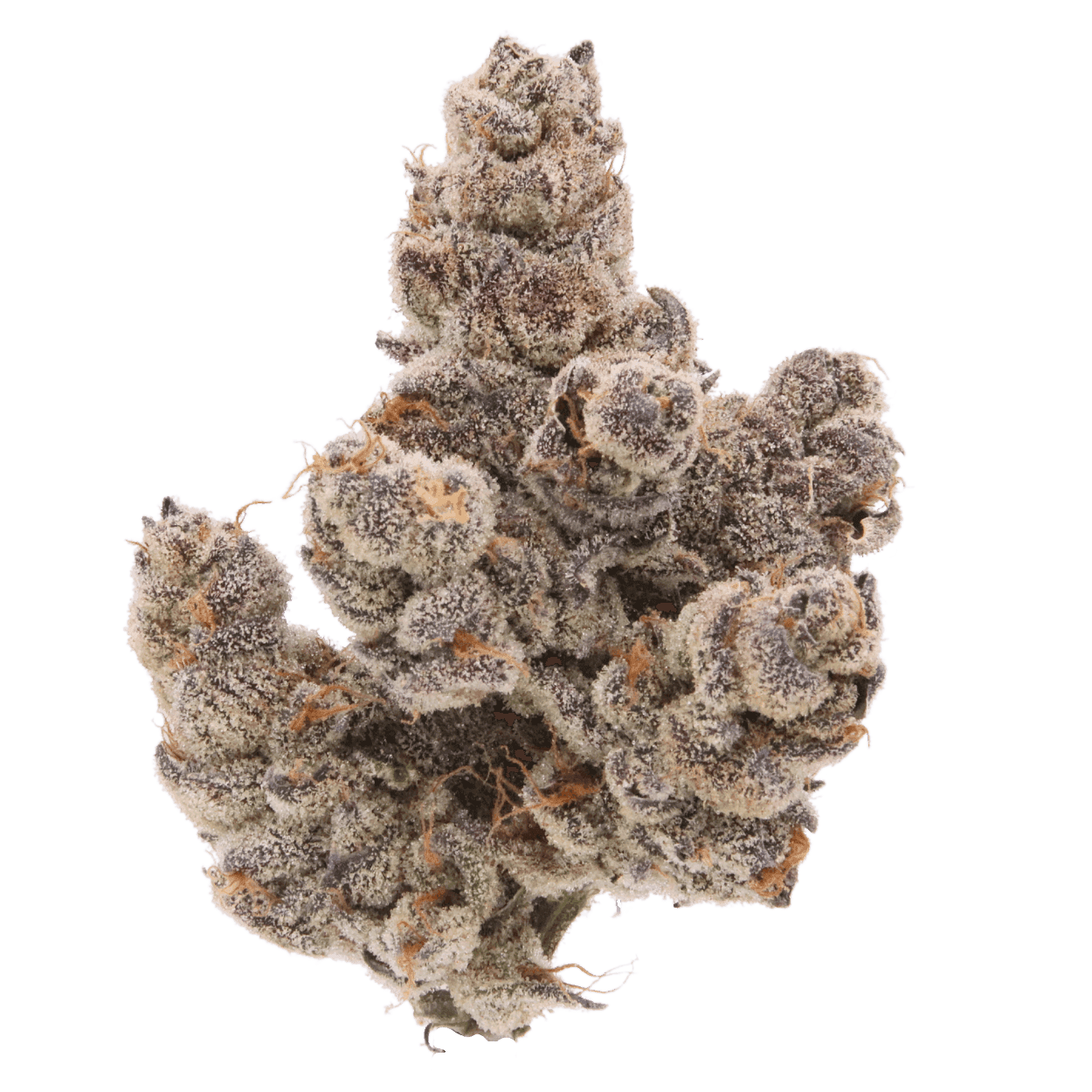 SENSE - Piescream - 3.5g - Flower