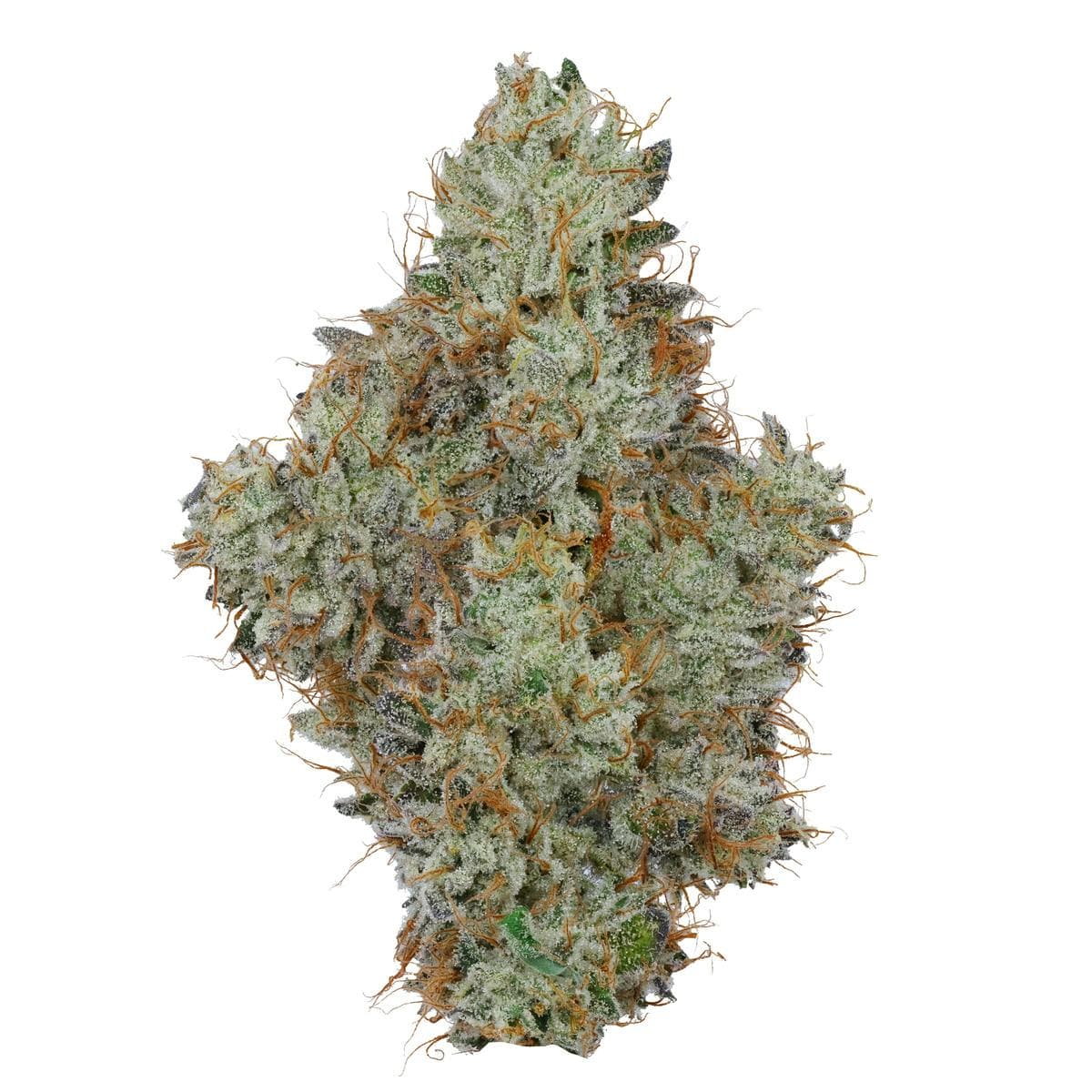 FIG FARMS - Animal Runtz - 3.5g - Flower